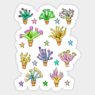 Cute Pastel Euphyllia Coral Pattern Sticker